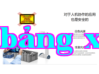 Ảnh 30