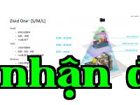 Hình ảnh 28