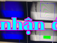 Ảnh 37